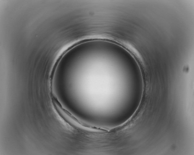 X0000092081380200709191216