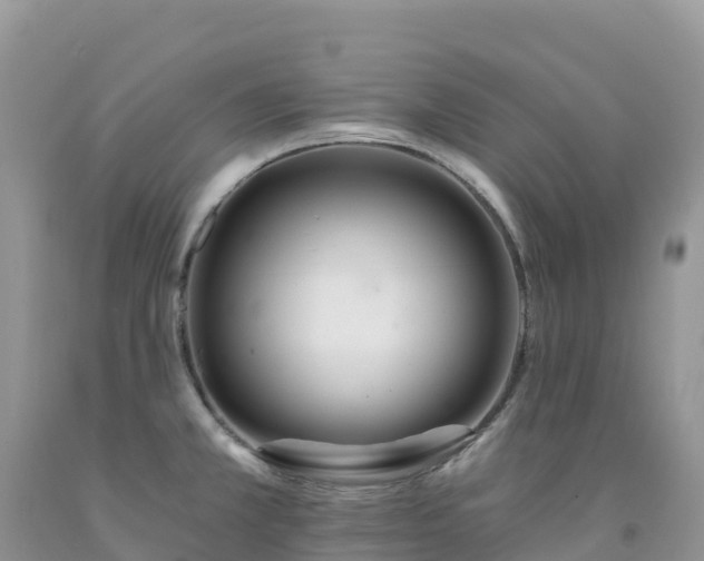 X0000092081381200709191216