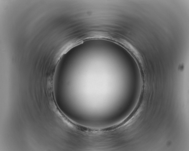 X0000092081385200709191216