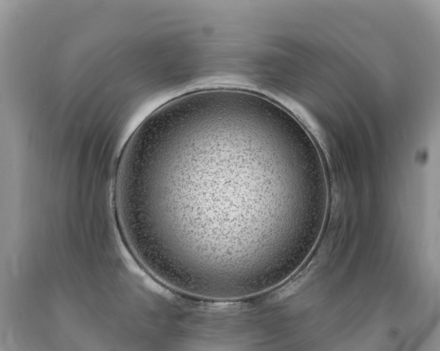 X0000092081390200709191216