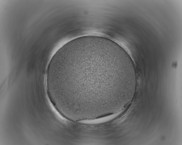 X0000092081391200709191216