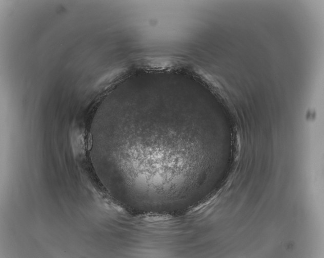 X0000092081394200709191215
