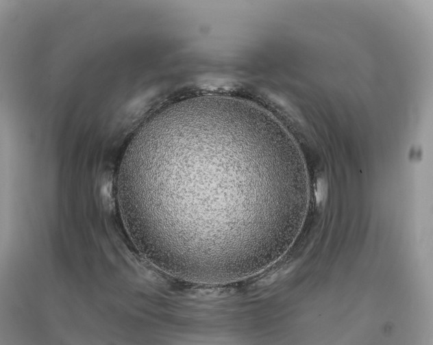 X0000092081396200709191215