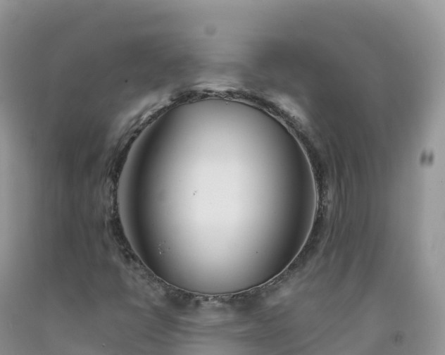 X0000092081398200709191215