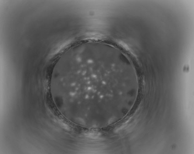 X0000092081399200709191215
