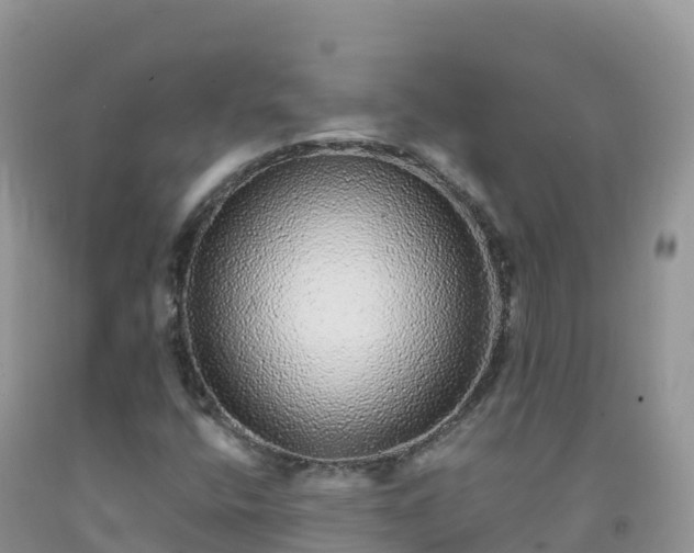 X0000092081400200709191215