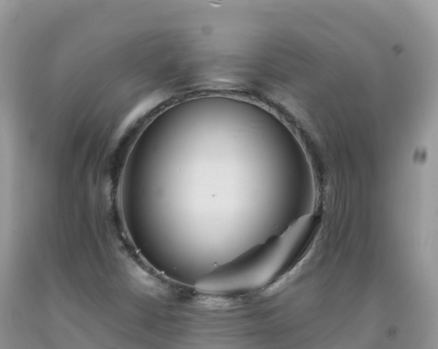 X0000092081402200709191215