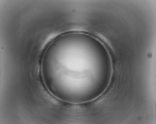 X0000092081408200709191215