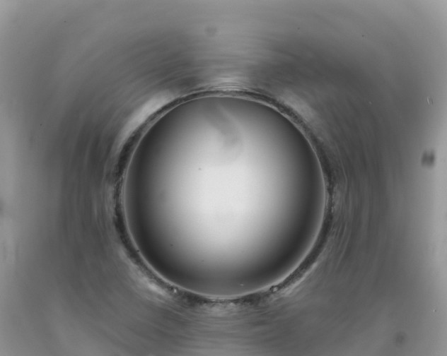 X0000092081410200709191215