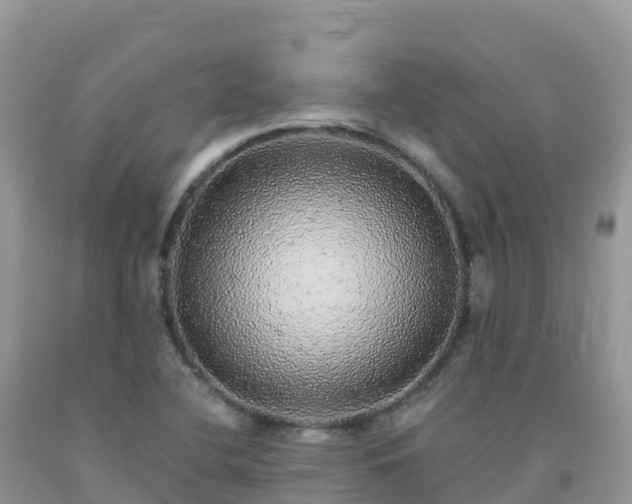 X0000092081412200709191215