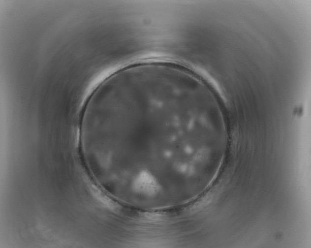 X0000092081413200709191215
