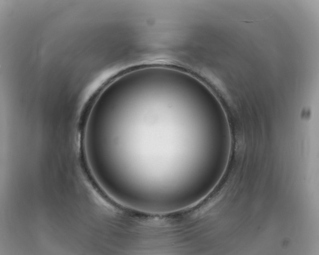 X0000092081414200709191215