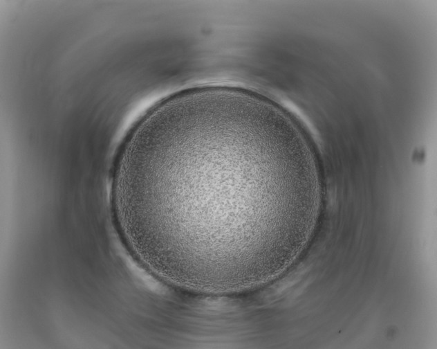 X0000092081416200709191215