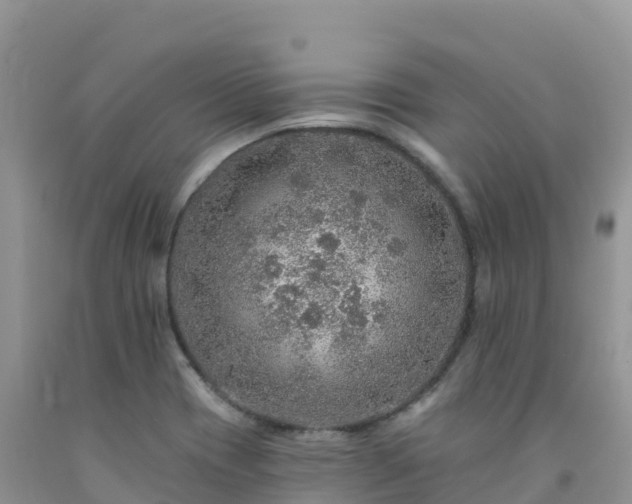 X0000092081417200709191215