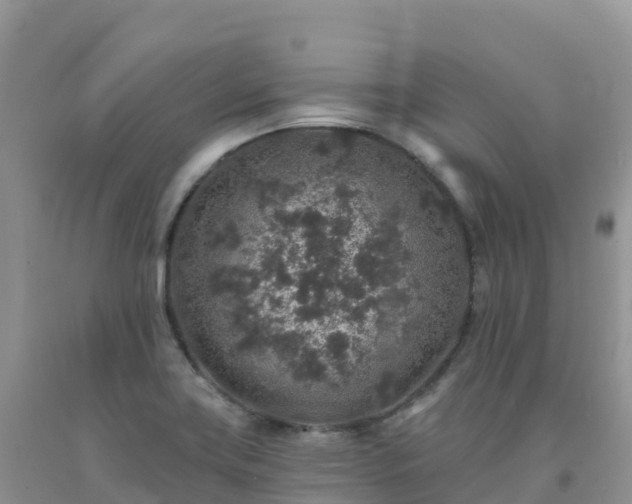 X0000092081419200709191215