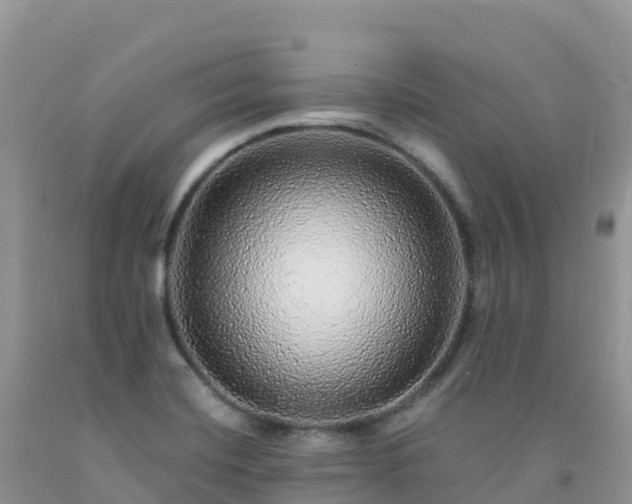 X0000092081420200709191215