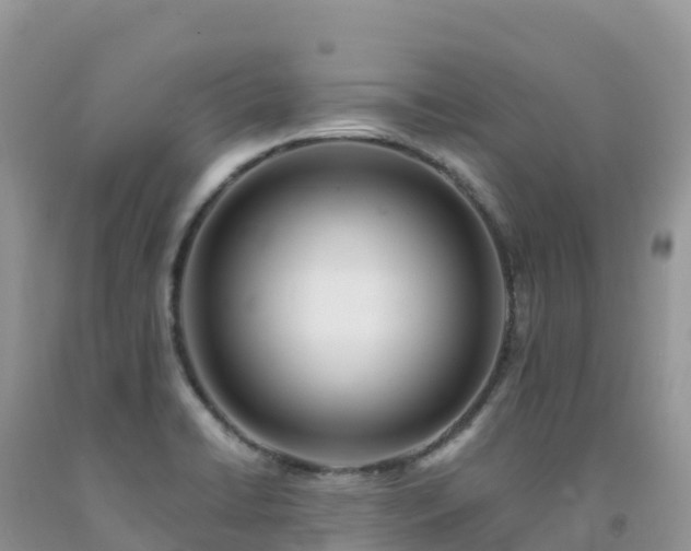 X0000092081422200709191215