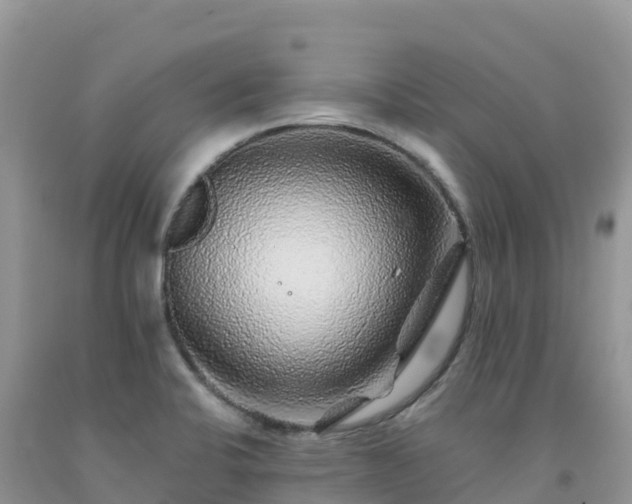X0000092081424200709191215