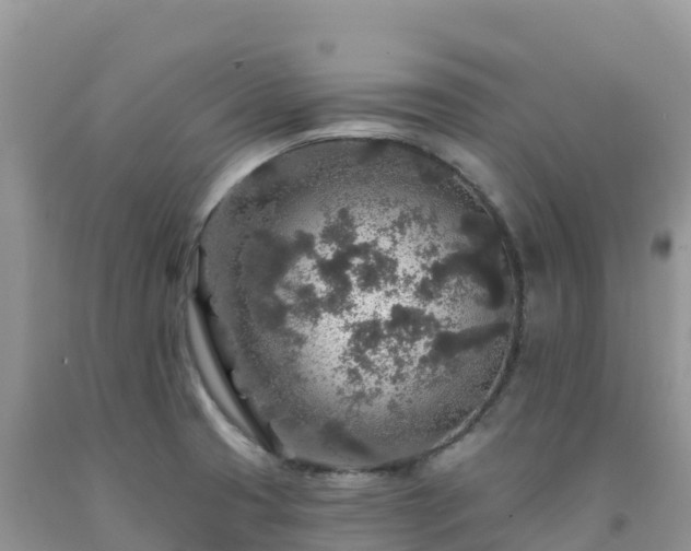 X0000092081425200709191215