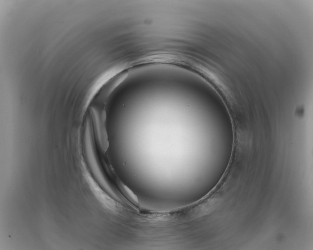 X0000092081426200709191216