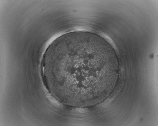 X0000092081427200709191216
