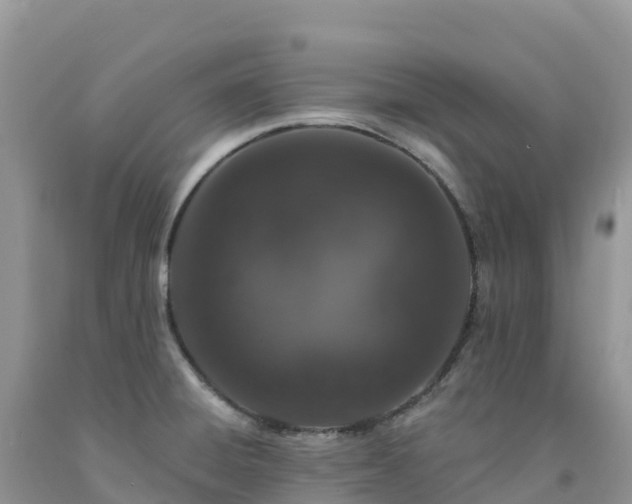X0000092081428200709191216