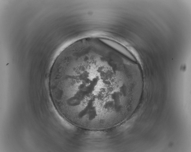 X0000092081429200709191216