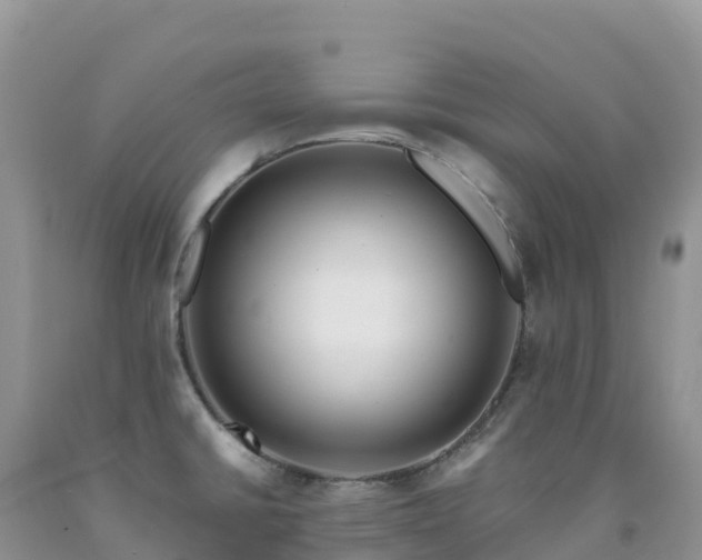 X0000092081430200709191216