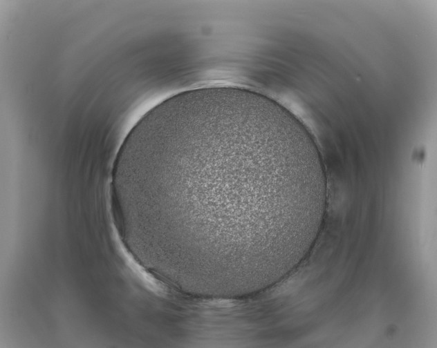 X0000092081431200709191216