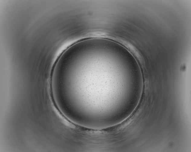 X0000092081432200709191216