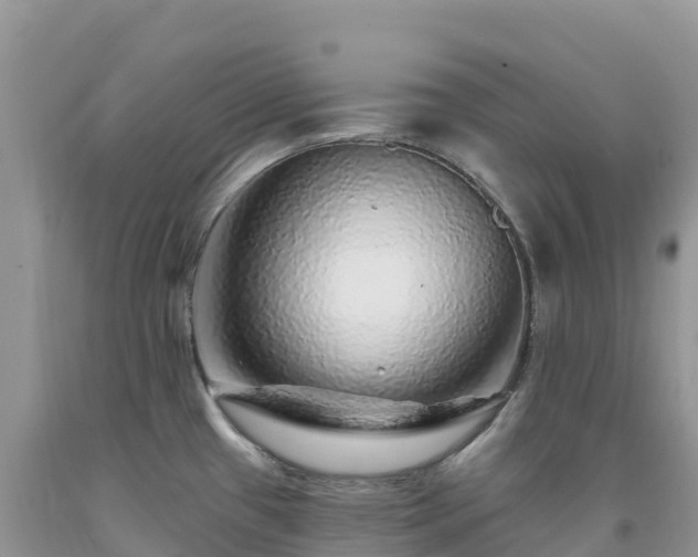 X0000092081433200709191216