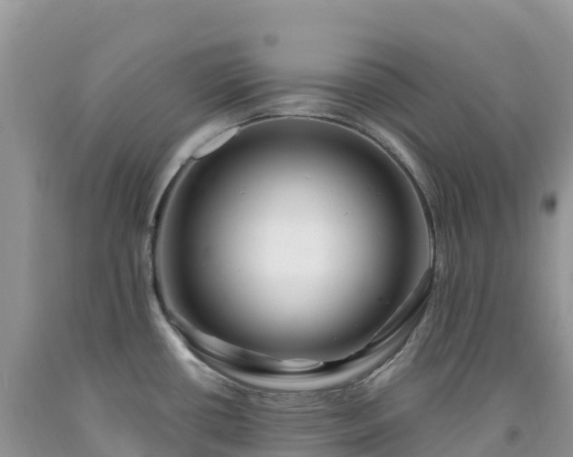 X0000092081434200709191216