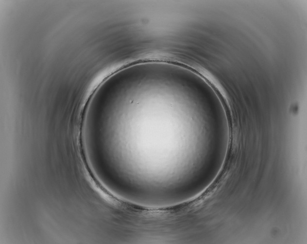 X0000092081437200709191216