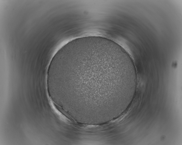 X0000092081439200709191216