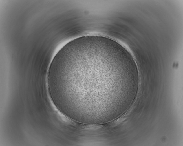 X0000092081440200709191216