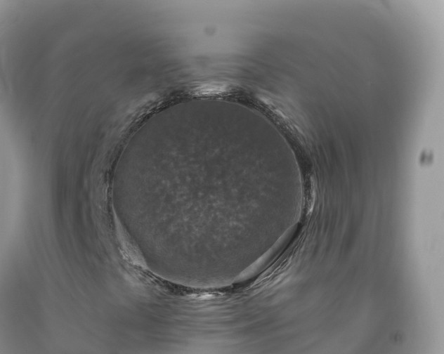 X0000092081441200709191215