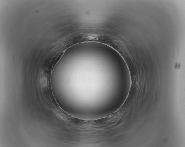 X0000092081442200709191215
