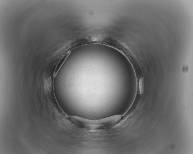 X0000092081443200709191215