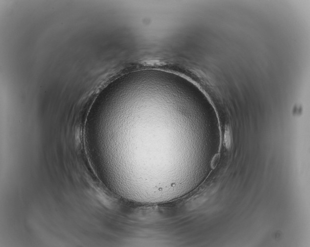 X0000092081444200709191215