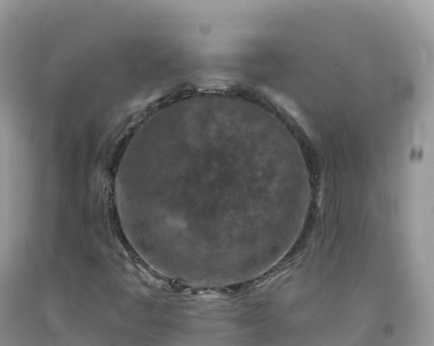 X0000092081445200709191215