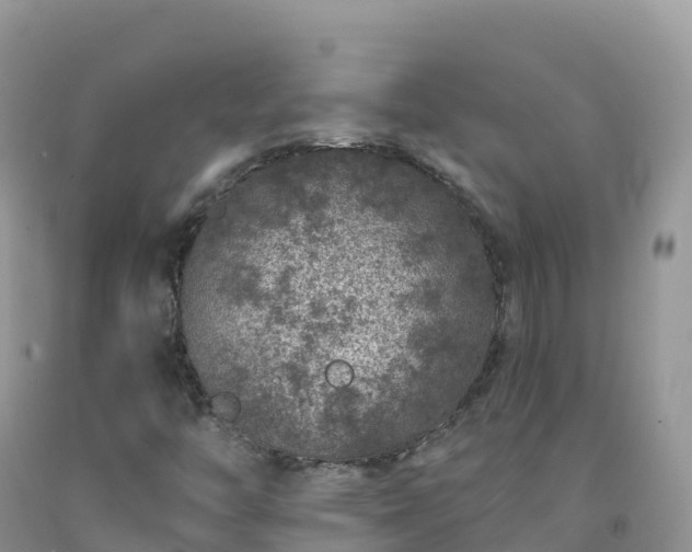 X0000092081446200709191215