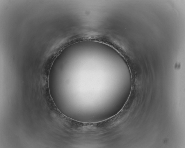X0000092081447200709191215
