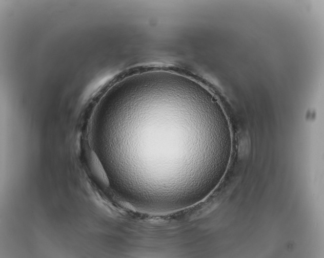 X0000092081448200709191215