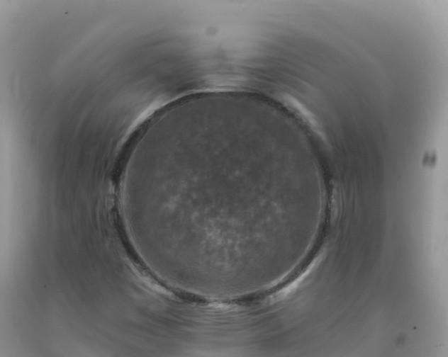 X0000092081449200709191215