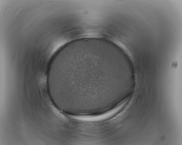 X0000092081450200709191215