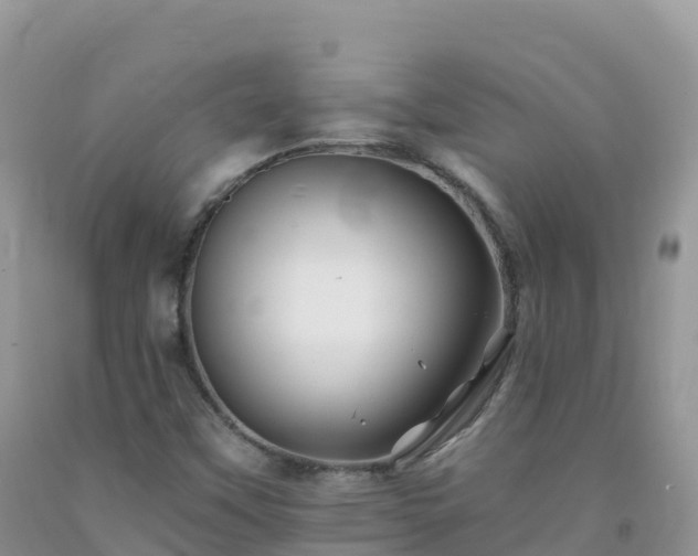 X0000092081451200709191215