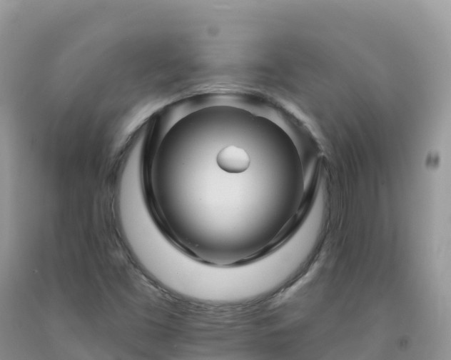 X0000092081453200709191215