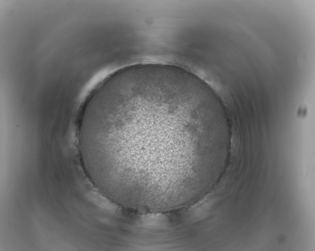 X0000092081454200709191215