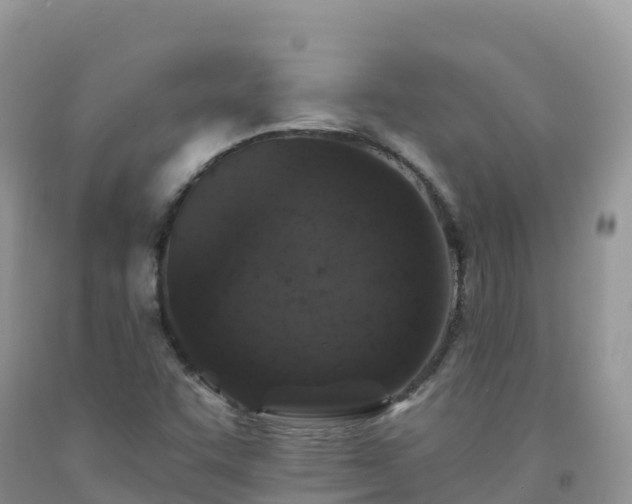 X0000092081455200709191215
