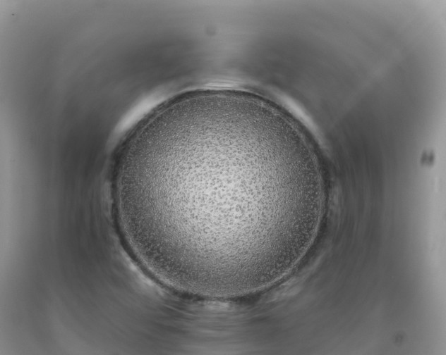 X0000092081456200709191215